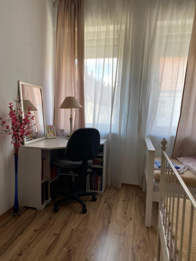 City Apartment شفاينفورت المظهر الخارجي الصورة